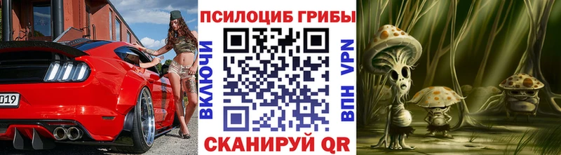 Галлюциногенные грибы Cubensis  где продают   Старая Русса 